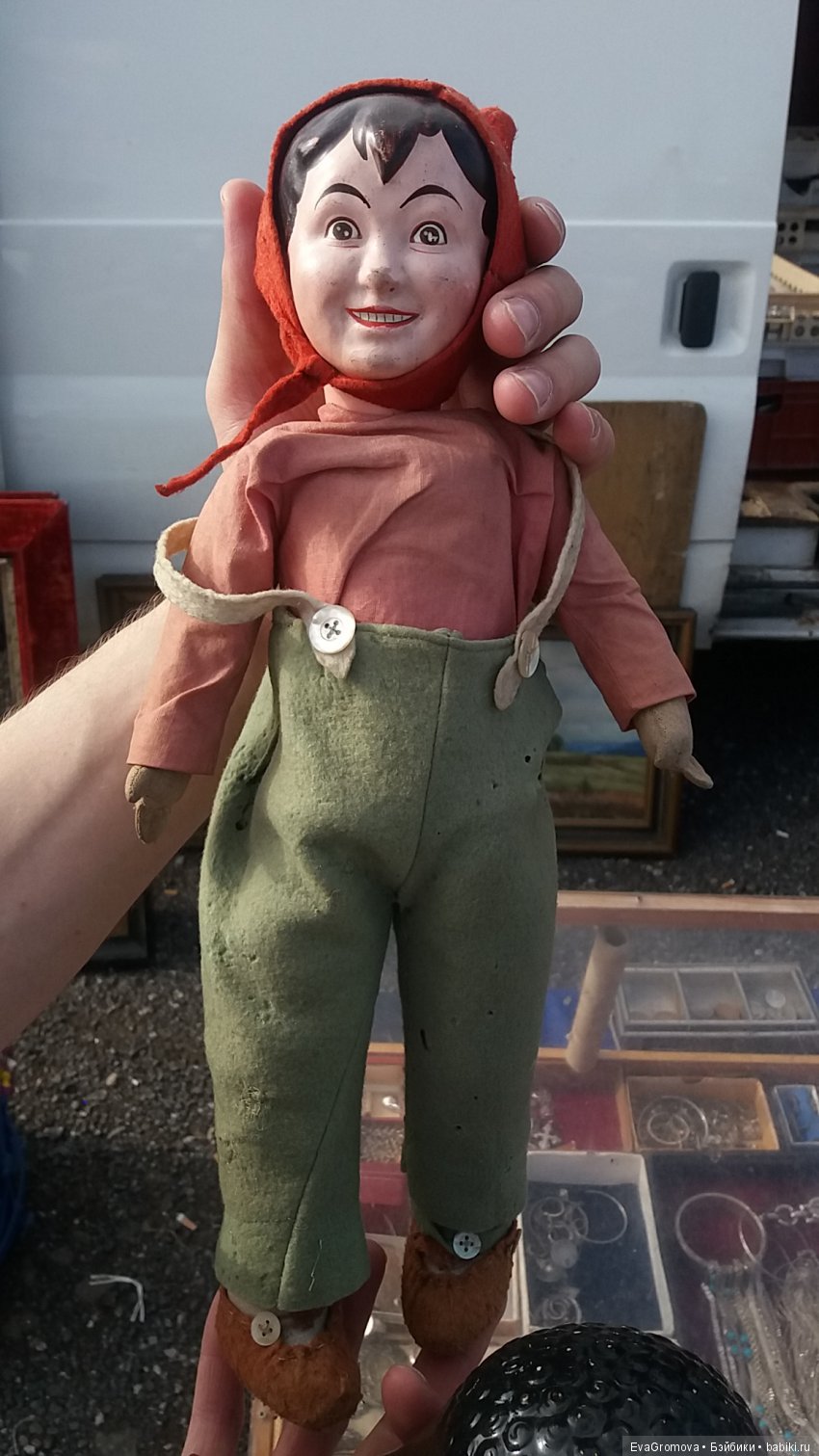 Помогите в опознании необычной куколки