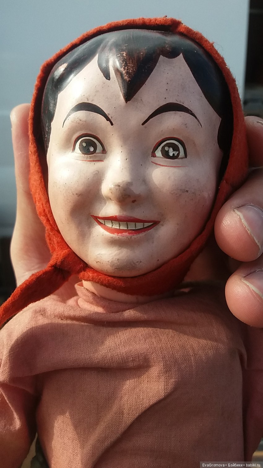 Помогите в опознании необычной куколки (фото 2)