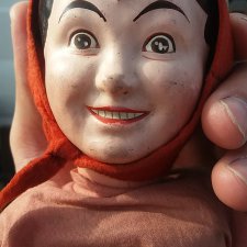 Помогите в опознании необычной куколки