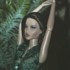 Жаркие джунгли