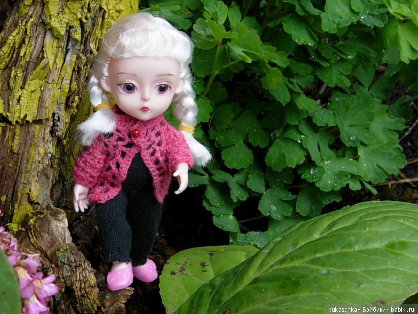 Поход к дальним берегам требует подготовки (фото 4)