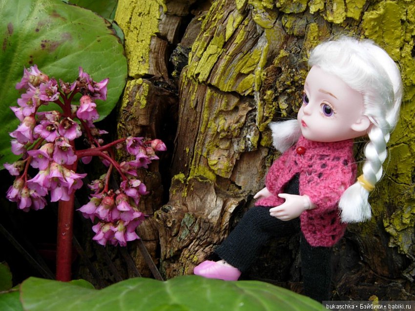 Поход к дальним берегам требует подготовки (фото 5)