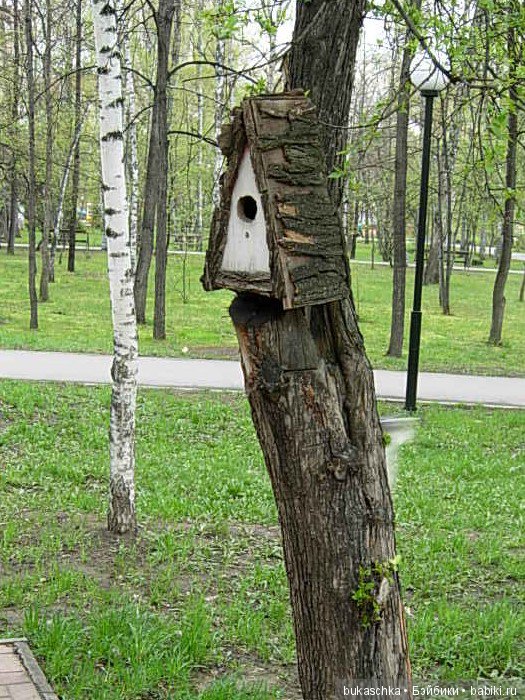 Кто в домике живет — Разные шарнирные куклы (не БЖД): редкие