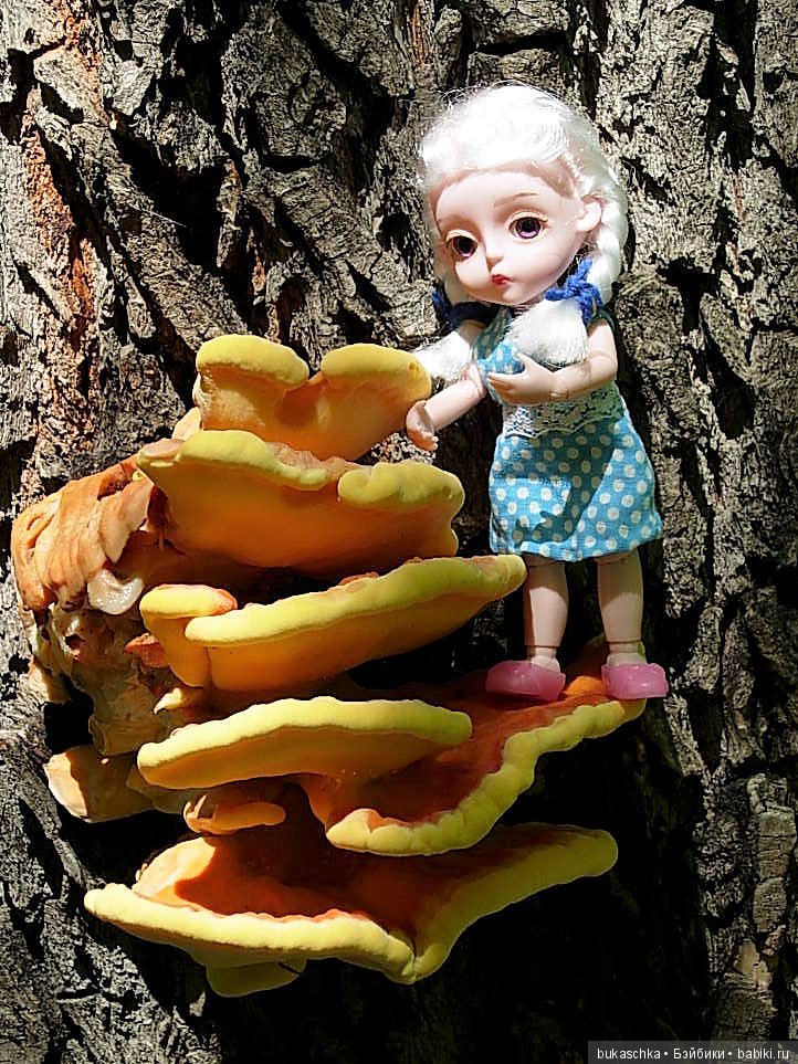 Как Маргарита "древесного цыпленка" нашла (фото 5)