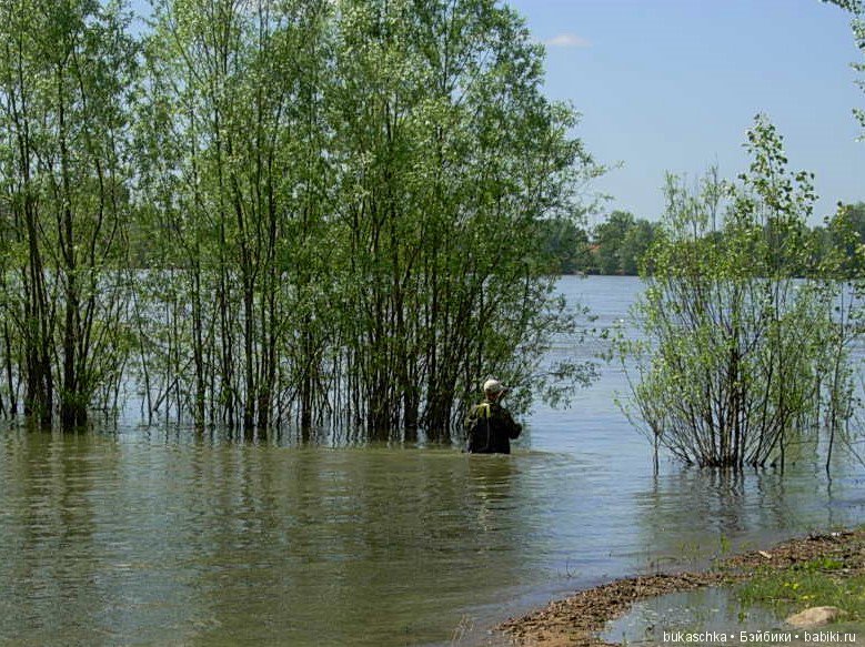 Маргарита и "мангровые заросли" (фото 7)
