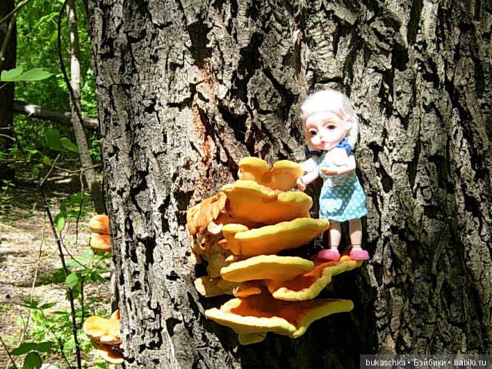 Как Маргарита "древесного цыпленка" нашла (фото 4)