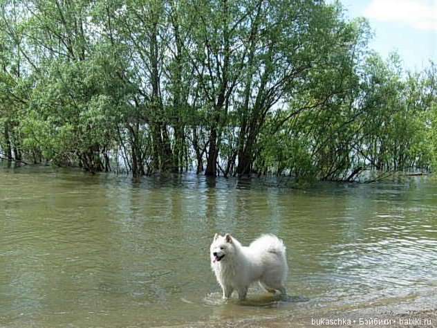 Маргарита и "мангровые заросли" (фото 6)