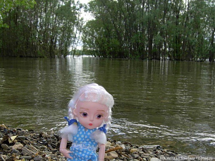 Маргарита и "мангровые заросли" (фото 3)