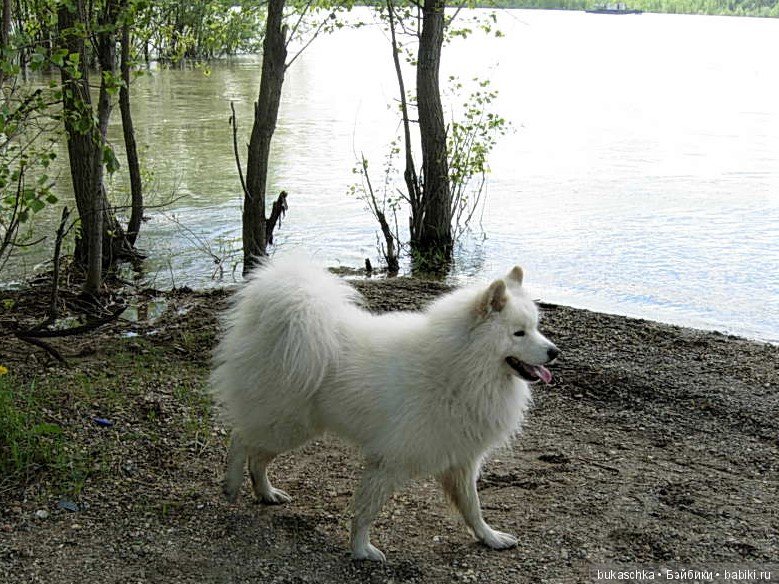 Маргарита и "мангровые заросли" (фото 5)
