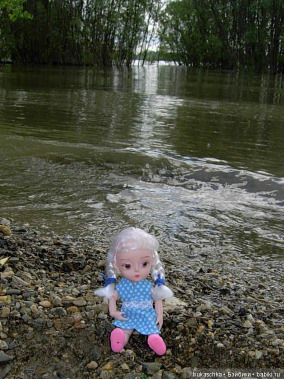 Маргарита и "мангровые заросли" (фото 10)