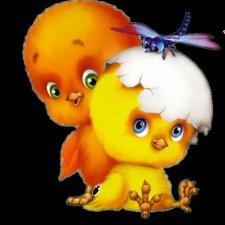 Как Маргарита "древесного цыпленка" нашла