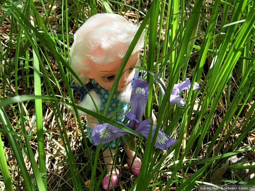 "Кукушкины слезки" или встреча в лесу с краснокнижным чудом (фото 2)