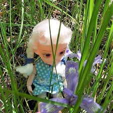 "Кукушкины слезки" или встреча в лесу с краснокнижным чудом