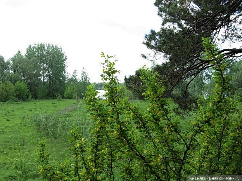 Маргарита на планете Железяка или Железка (фото 2)