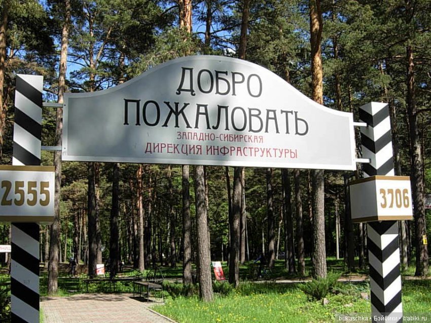 Маргарита на планете Железяка или Железка