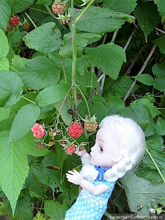 По малину в лес пойдем и малины наберем (фото 6)