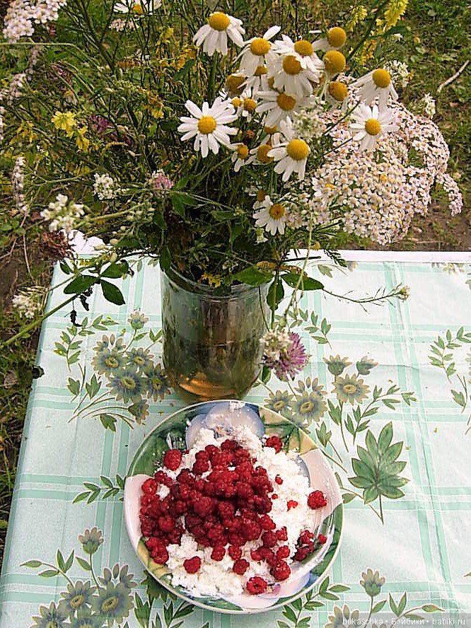 По малину в лес пойдем и малины наберем (фото 10)