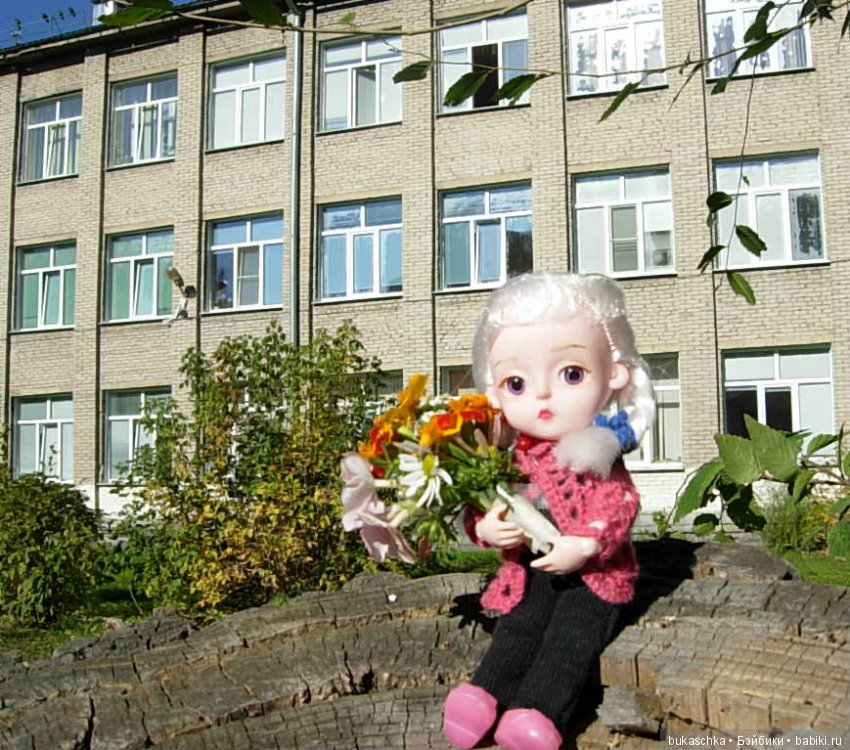 День учителя — Разные шарнирные куклы (не БЖД): редкие (фото 2)