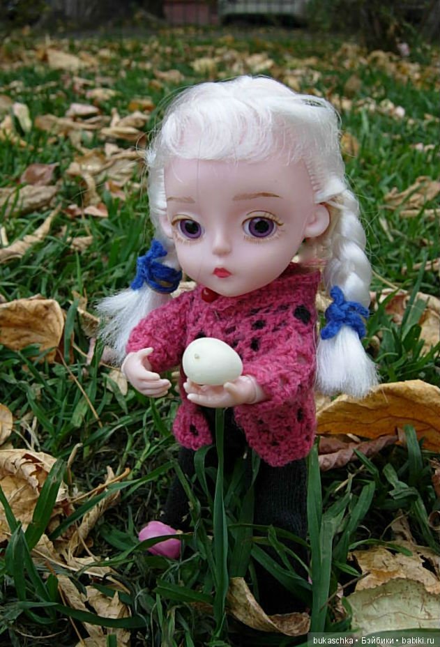 Скоро зима? Снежноягодник (фото 10)