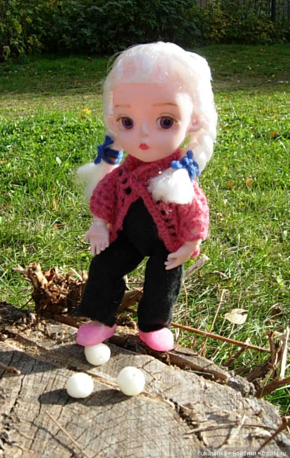 Скоро зима? Снежноягодник