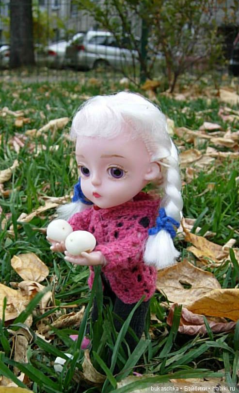 Скоро зима? Снежноягодник