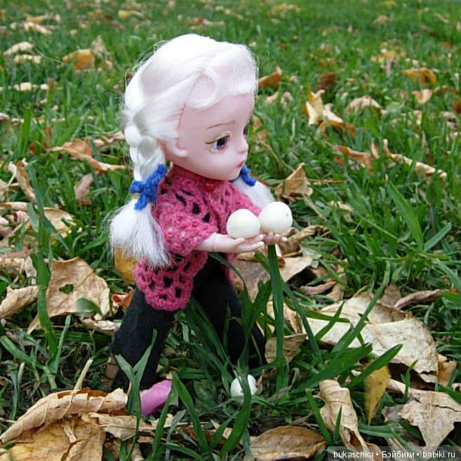 Скоро зима? Снежноягодник