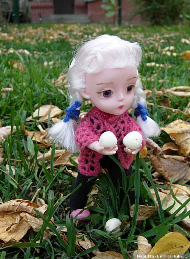 Скоро зима? Снежноягодник