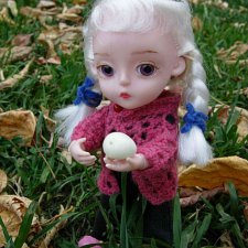 Скоро зима? Снежноягодник