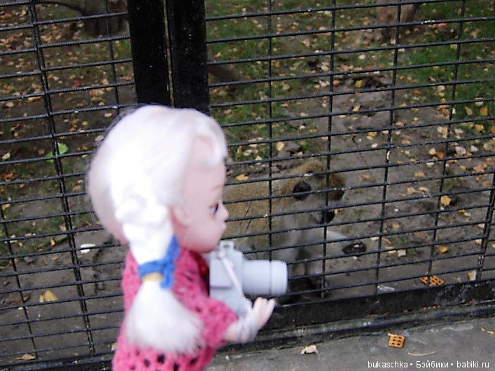 Осень. Фотоохота — Разные шарнирные куклы (не БЖД): редкие