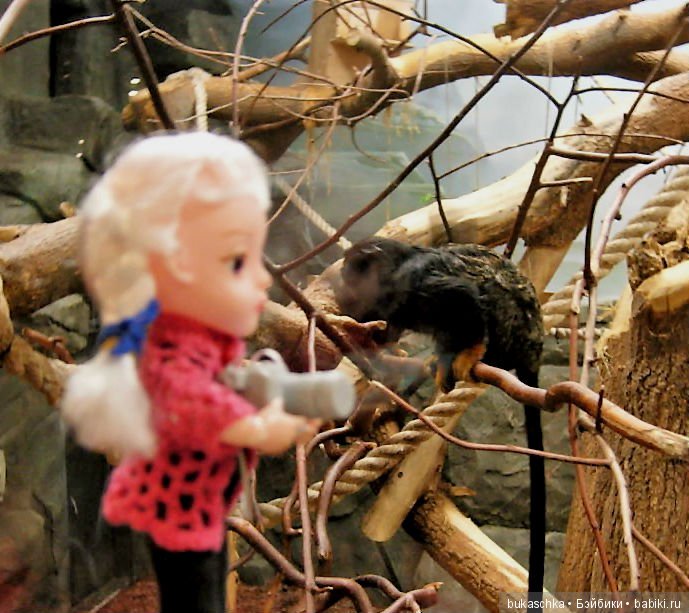 Осень. Фотоохота — Разные шарнирные куклы (не БЖД): редкие