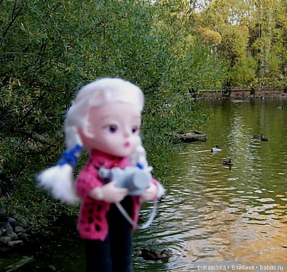 Осень. Фотоохота — Разные шарнирные куклы (не БЖД): редкие