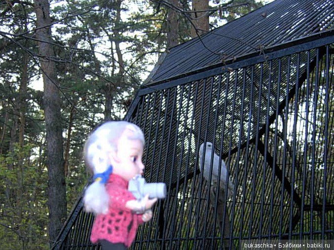 Осень. Фотоохота — Разные шарнирные куклы (не БЖД): редкие (фото 10)