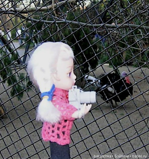 Осень. Фотоохота — Разные шарнирные куклы (не БЖД): редкие