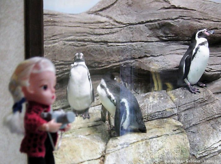 Осень. Фотоохота — Разные шарнирные куклы (не БЖД): редкие