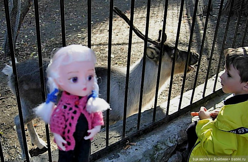 Осень. Фотоохота — Разные шарнирные куклы (не БЖД): редкие (фото 6)