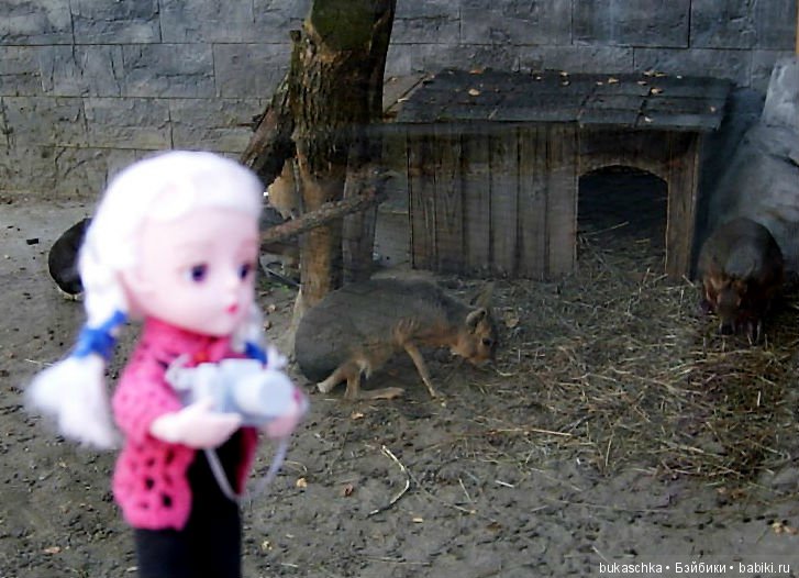 Осень. Фотоохота — Разные шарнирные куклы (не БЖД): редкие