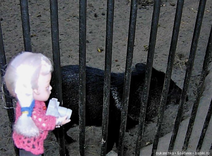 Осень. Фотоохота — Разные шарнирные куклы (не БЖД): редкие (фото 9)