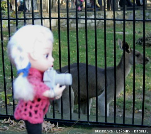 Осень. Фотоохота — Разные шарнирные куклы (не БЖД): редкие