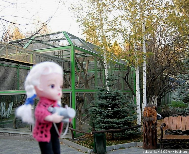 Осень. Фотоохота — Разные шарнирные куклы (не БЖД): редкие