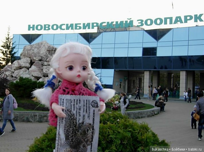 Осень. Фотоохота — Разные шарнирные куклы (не БЖД): редкие