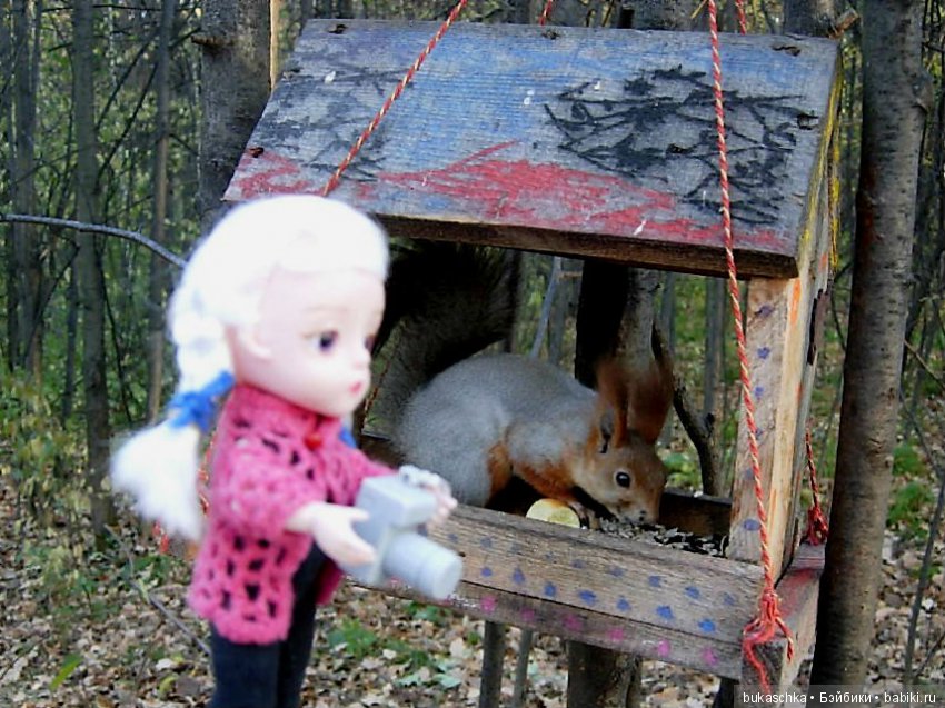 Осень. Фотоохота — Разные шарнирные куклы (не БЖД): редкие