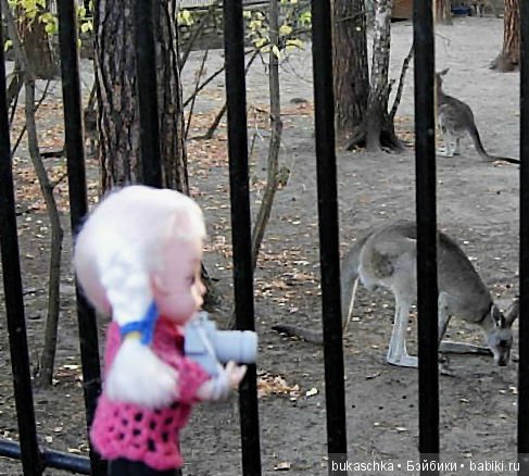 Осень. Фотоохота — Разные шарнирные куклы (не БЖД): редкие