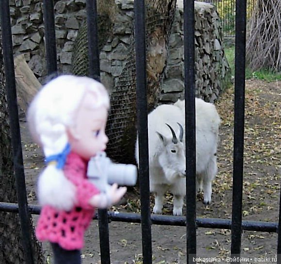 Осень. Фотоохота — Разные шарнирные куклы (не БЖД): редкие