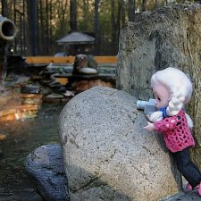 Осень. Фотоохота