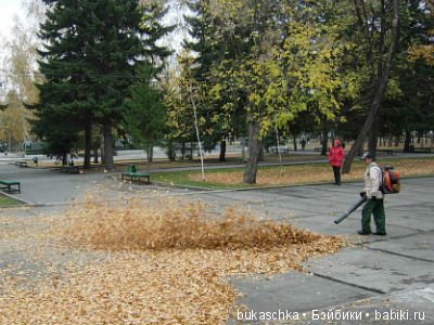 Осенний флешмоб: трудности подготовки и немного стихов (фото 9)