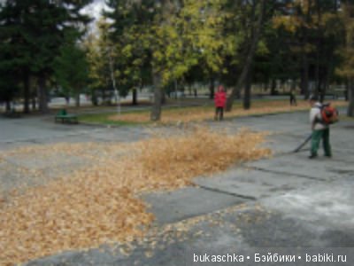 Осенний флешмоб: трудности подготовки и немного стихов (фото 7)