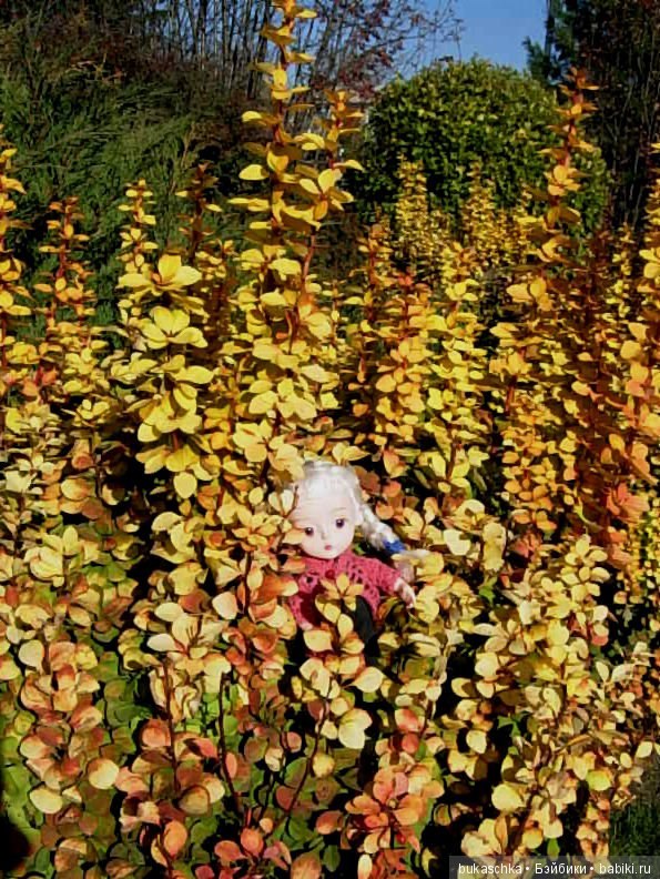 Осенний флешмоб: трудности подготовки и немного стихов