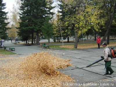 Осенний флешмоб: трудности подготовки и немного стихов (фото 10)