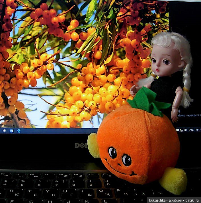 "Облепиховое лето" зимой — Разные шарнирные куклы (не БЖД): редкие