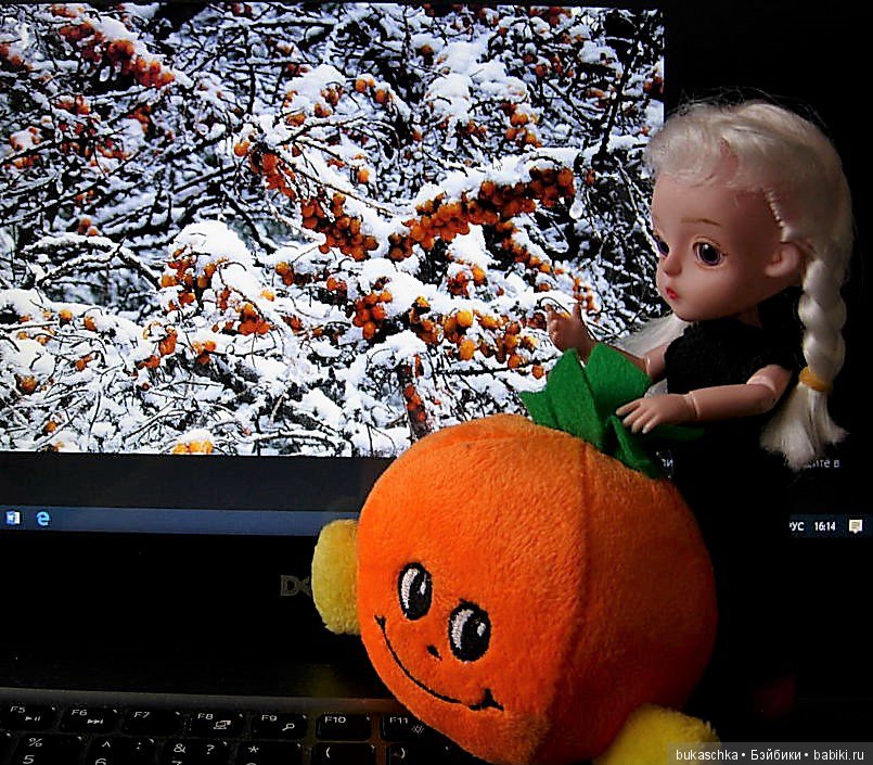 "Облепиховое лето" зимой — Разные шарнирные куклы (не БЖД): редкие